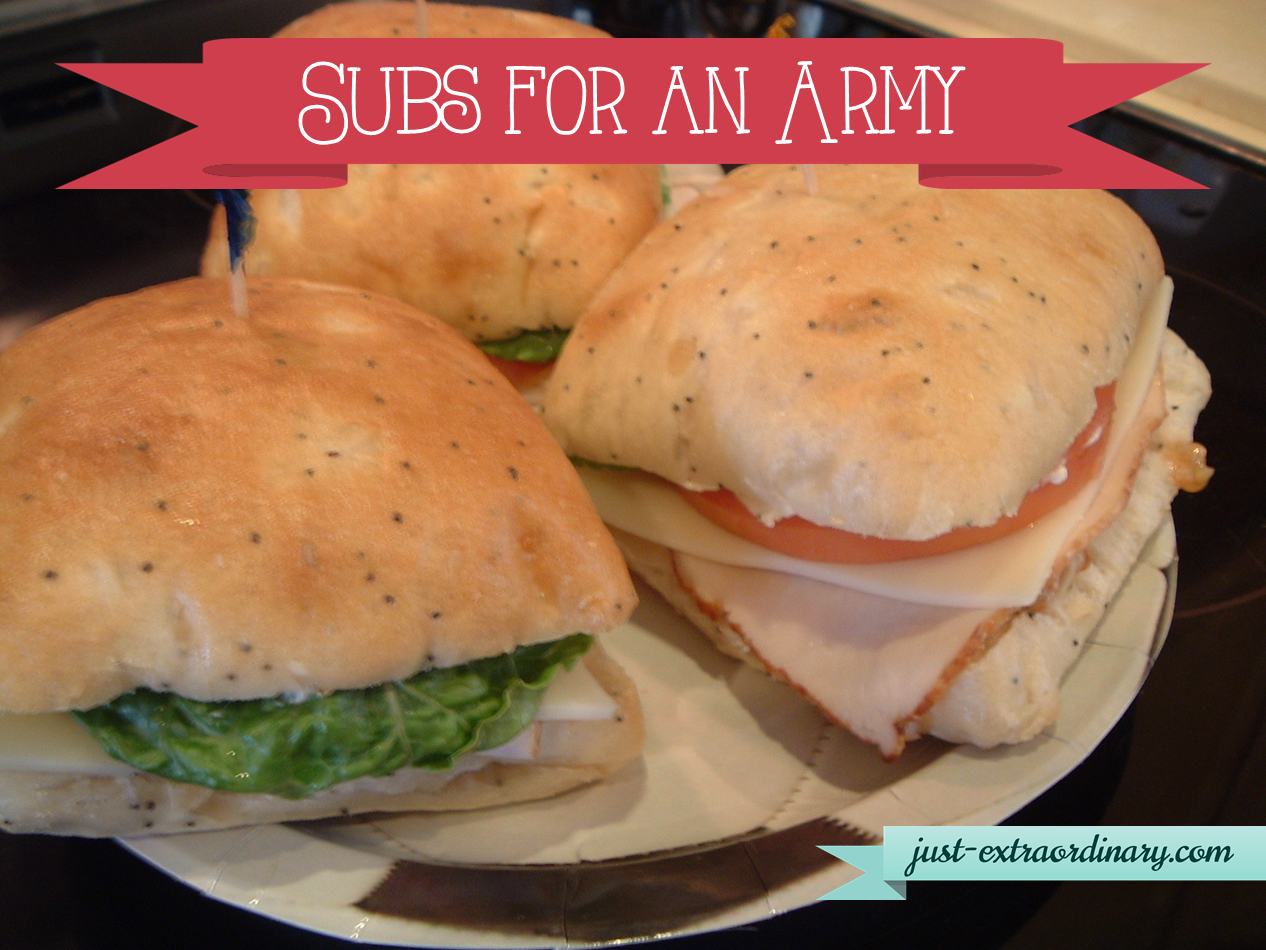 Subs for an Army 02 19 14