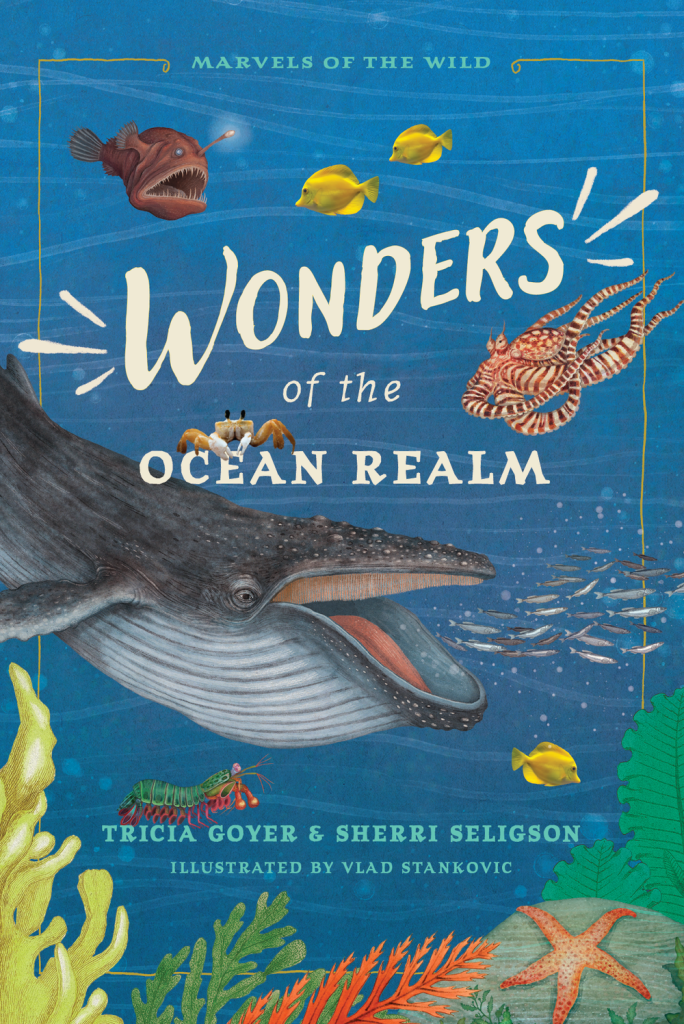 Wonders of the ocean realm